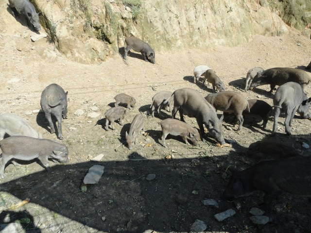 2121�Ƿ���(�й���)�����ٷ���վ