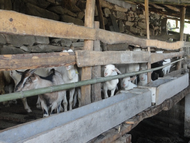 2121�Ƿ���(�й���)�����ٷ���վ