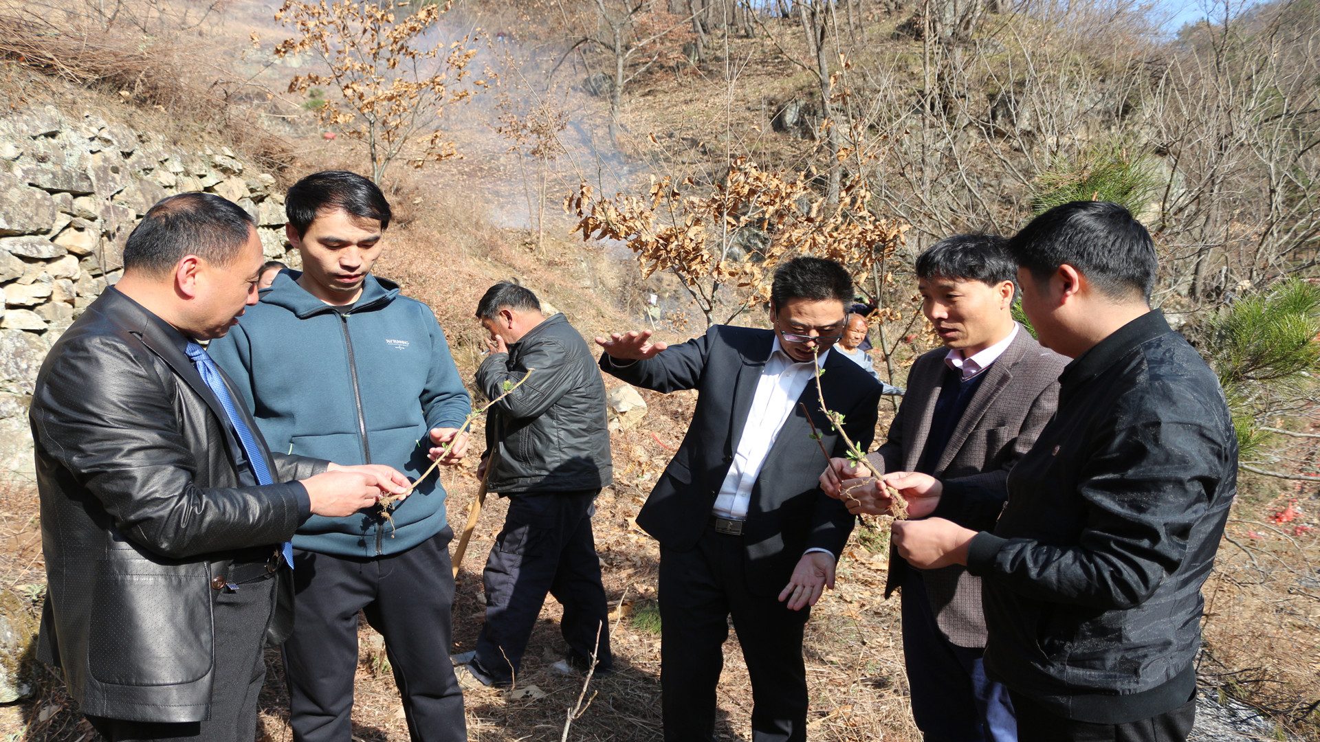 2121�Ƿ���(�й���)�����ٷ���վ